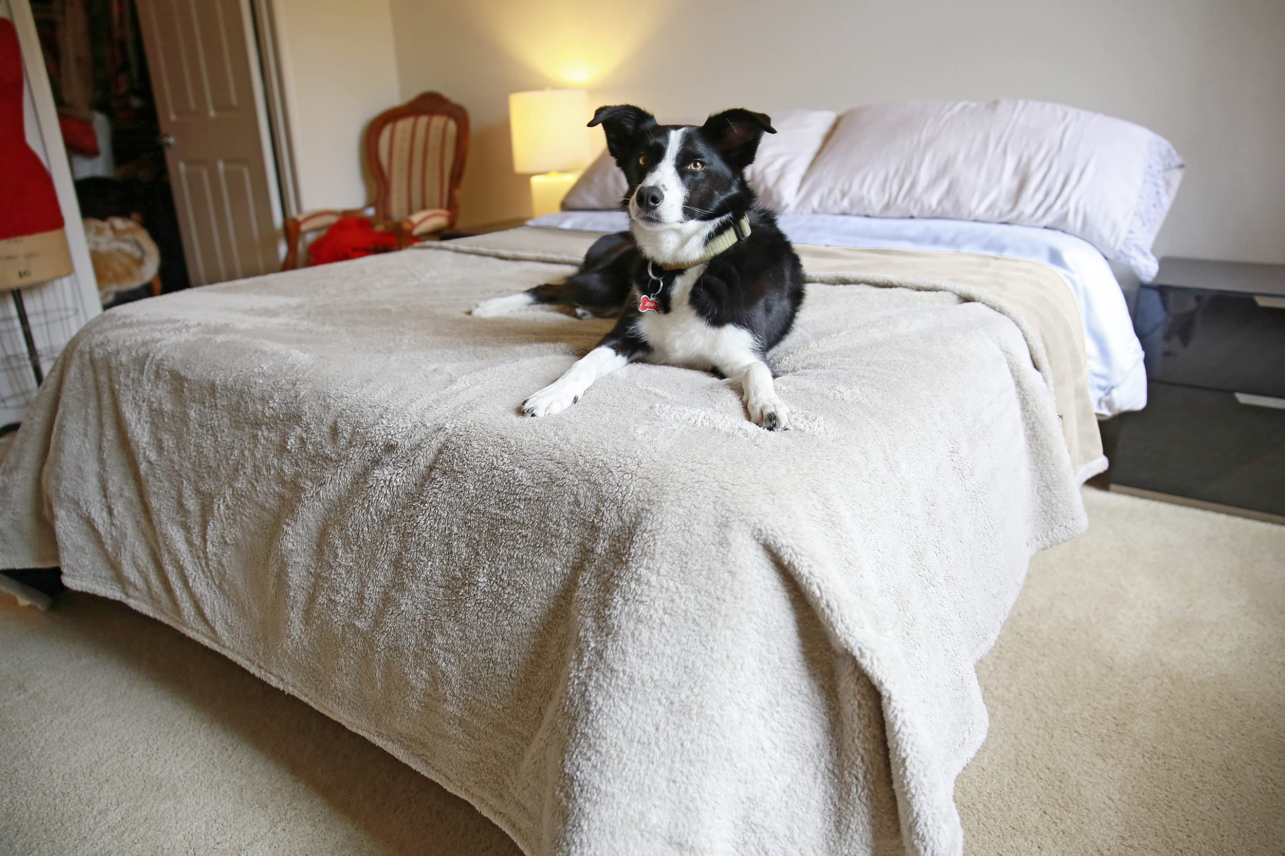 Kritter Planet Waterproof Reversible Pet Blanket for Dogs and Cats