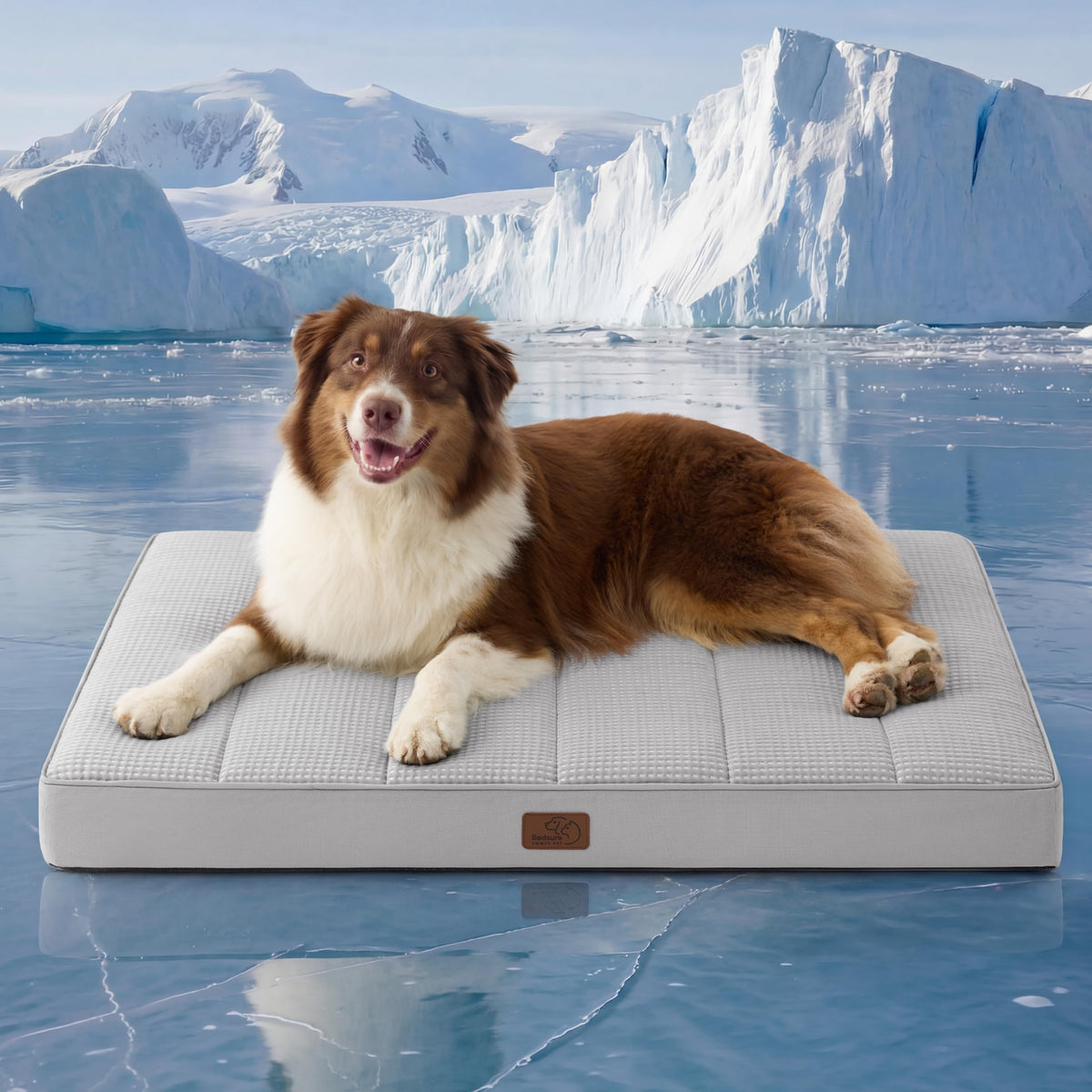 Bedsure Small Dog Bed, Cat Puppy Bed with Comfy Sherpa, 24"x16" Dark Grey