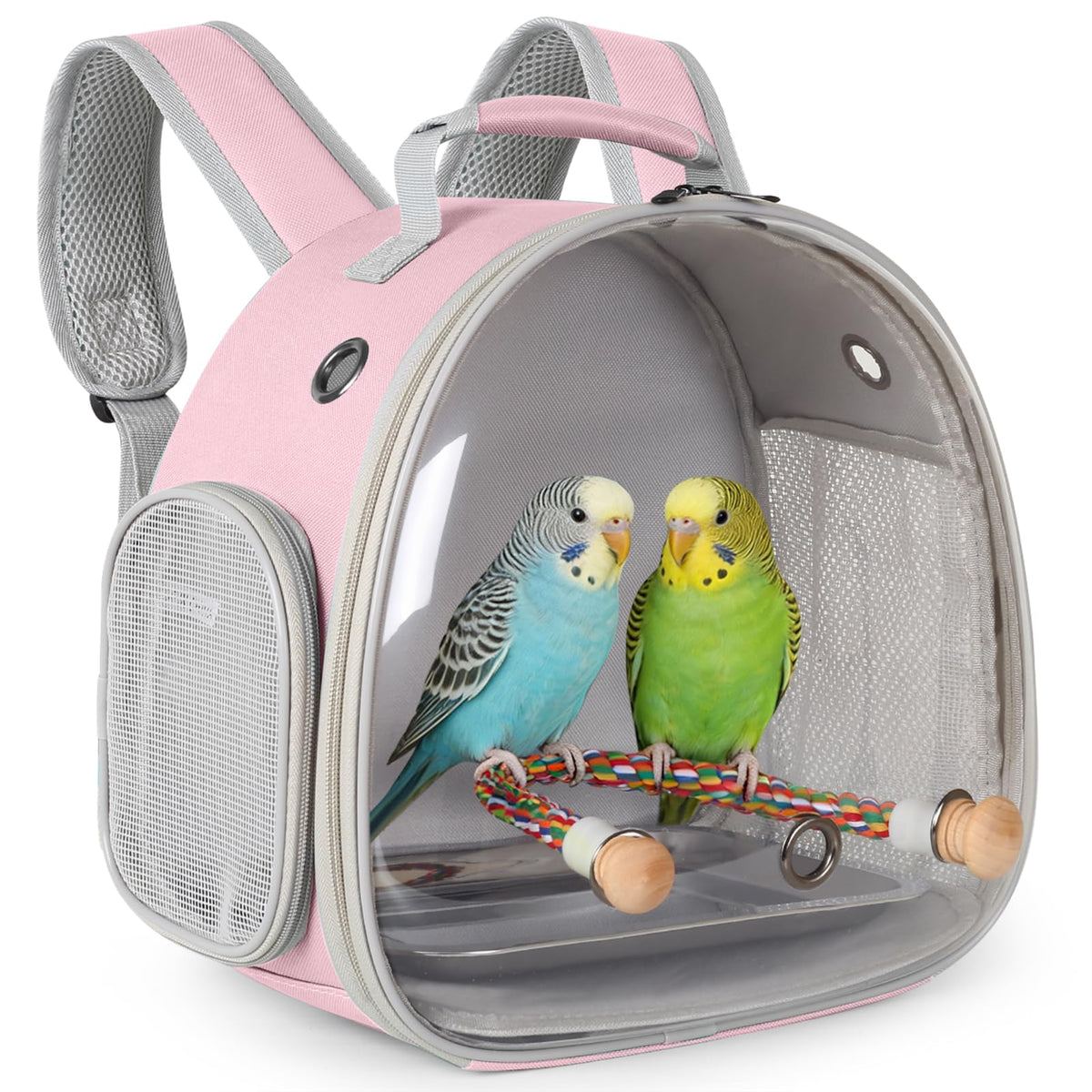 Small Bird Travel Backpack Carrier Cage, Backpack to Transport Backpack Carrier with Clamp Cups Stand Perch for Parakeet Cockatiel Budgies Vet Carry Book Bag Green