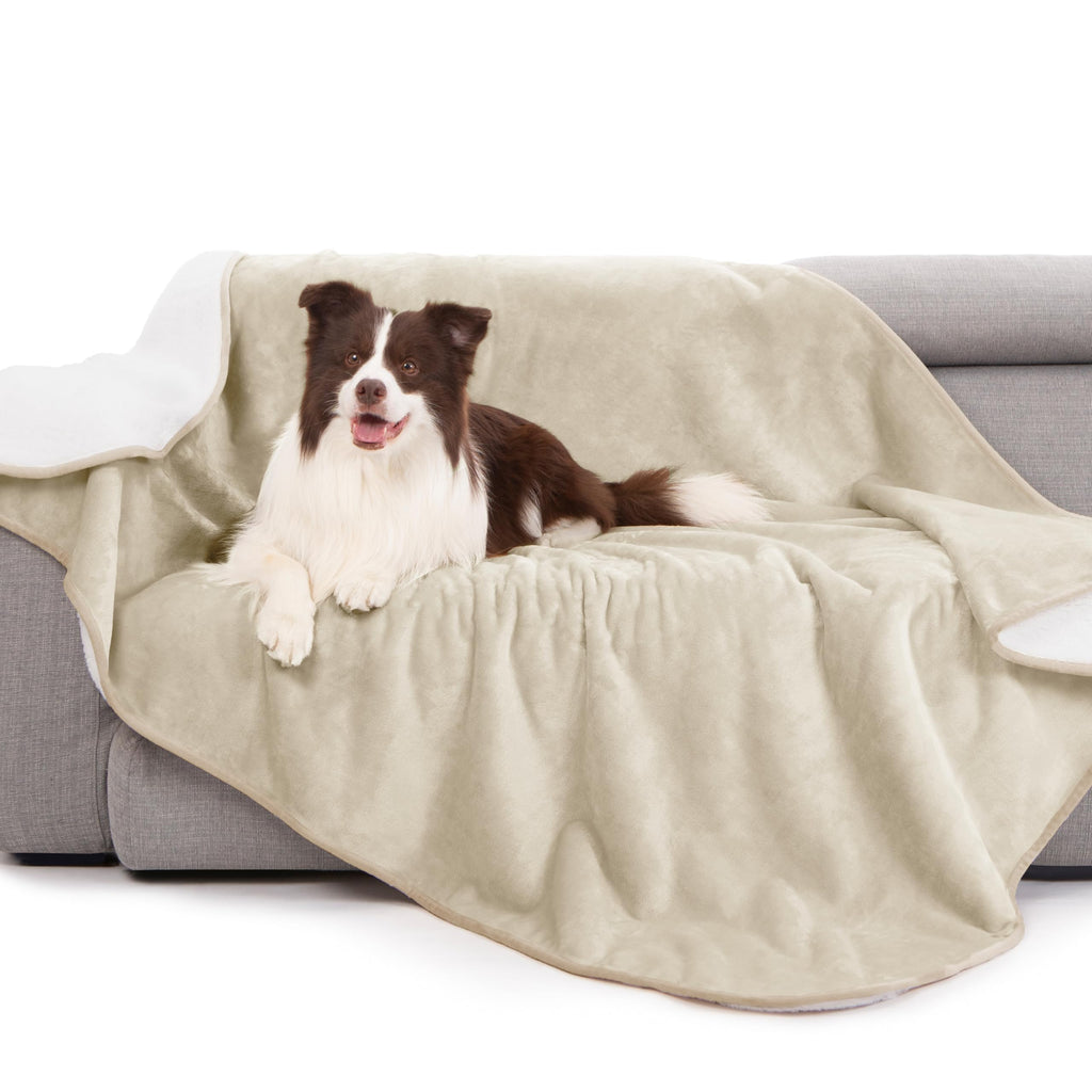 gogobunny Waterproof Bed Blanket, Reversible Sherpa Fleece Throw Blanket for Dog Puppy Cat, Furniture Cover Protects Bed Couch Sofa from Liquid Pee and Pet Fur (Cream, 90x108 inches)
