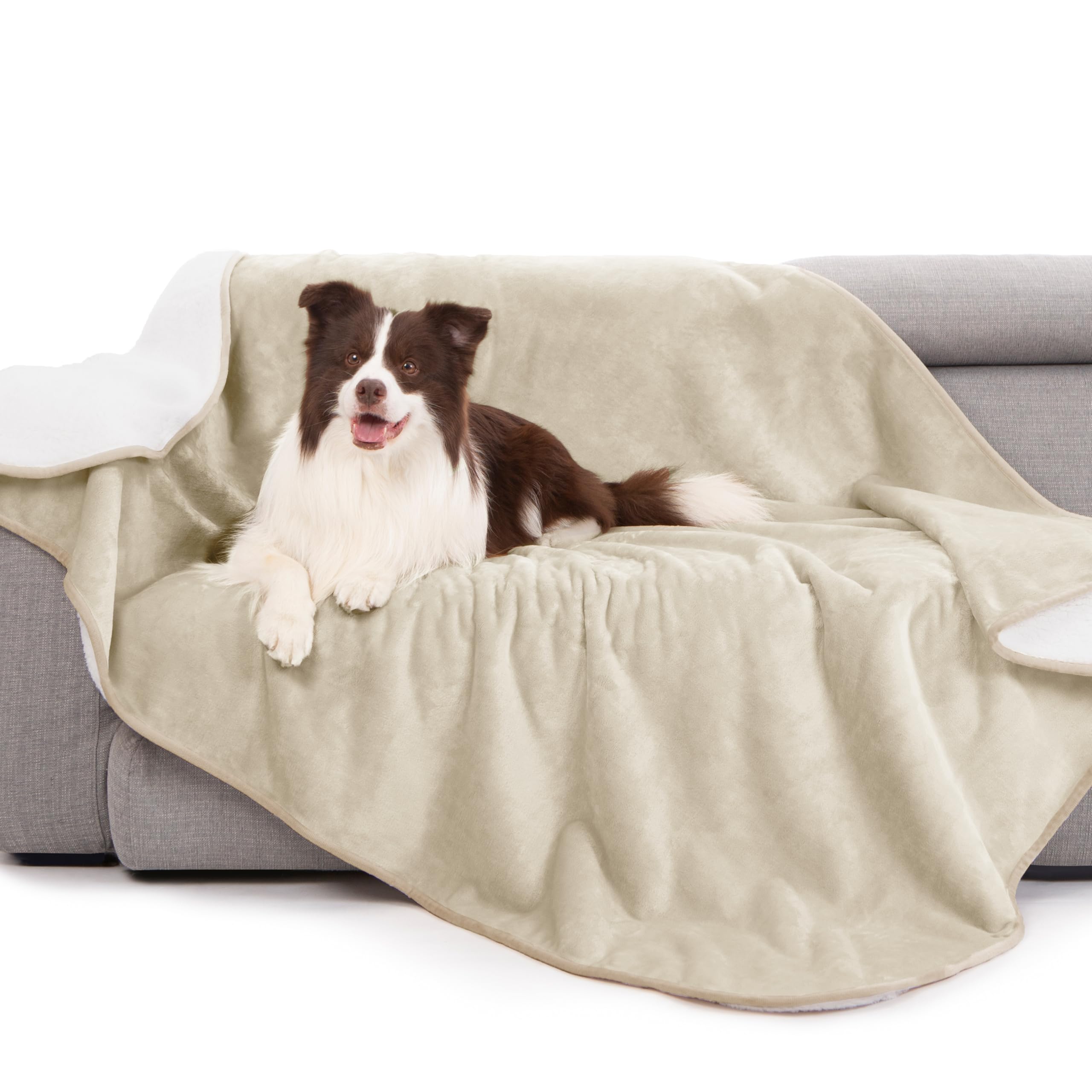 gogobunny Waterproof Bed Blanket, Reversible Sherpa Fleece Throw Blanket for Dog Puppy Cat, Furniture Cover Protects Bed Couch Sofa from Liquid Pee and Pet Fur (Cream, 90x108 inches)