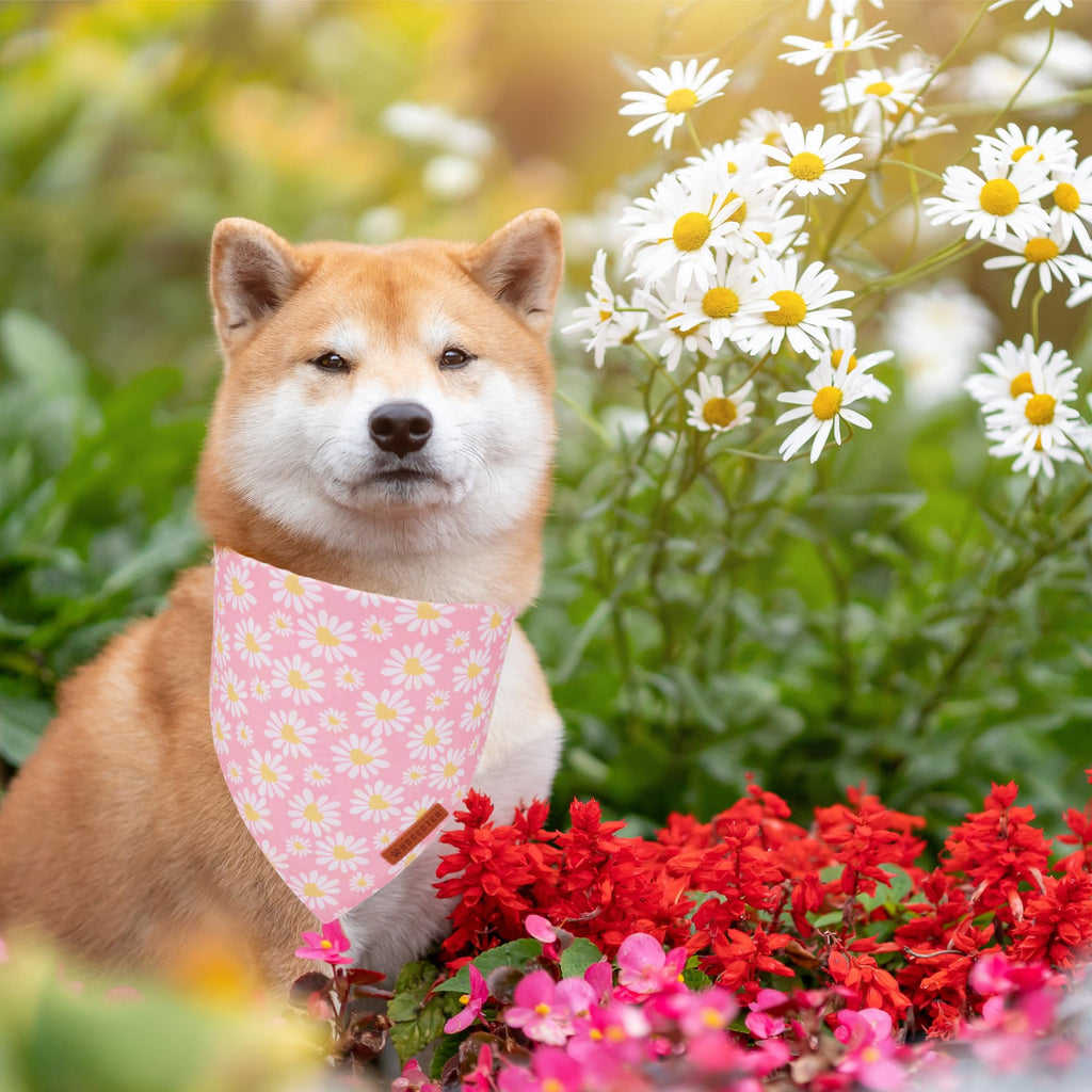ADOGGYGO Pink Floral Dog Bandanas Girl, Cute Daisy Bandana, Small