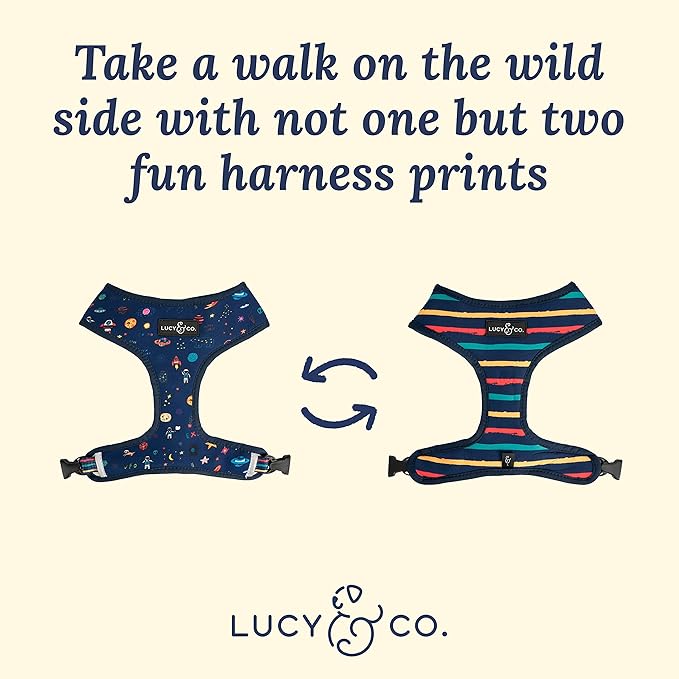 Lucy & Co. Reversible Dog Harness - Water-Repellent Neoprene, Dual-Print Design, Easy Swap Style, Adjustable Comfort Fit - Space Doodle Reversible Harness - Small