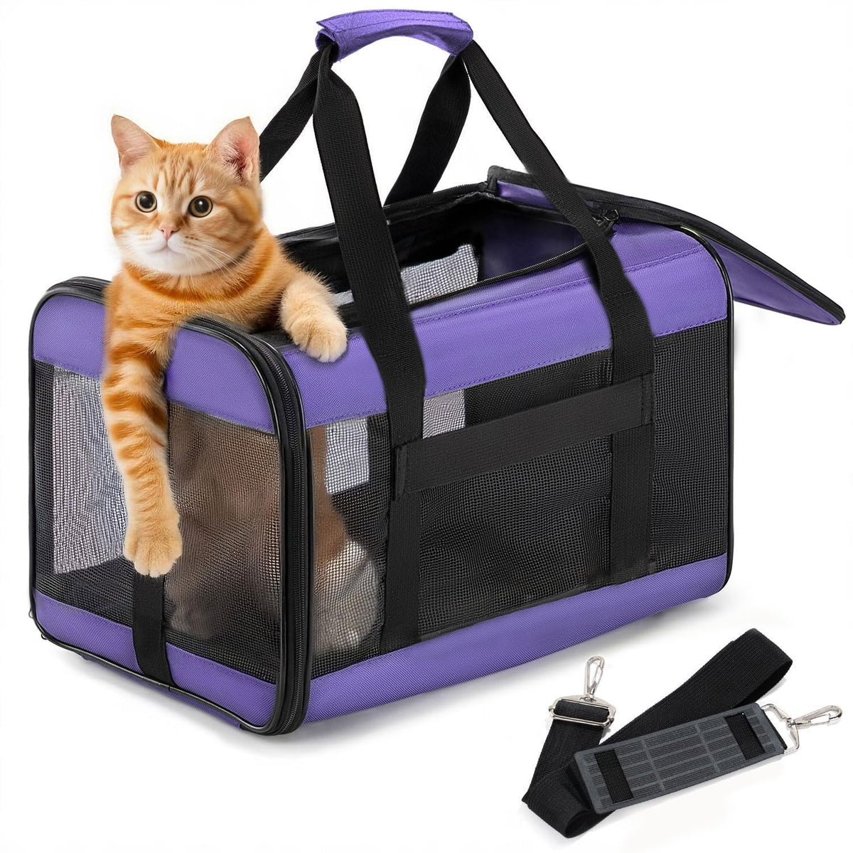 Conlun Dog Carrier Soft Sided, Large Cat Carrier,Black L