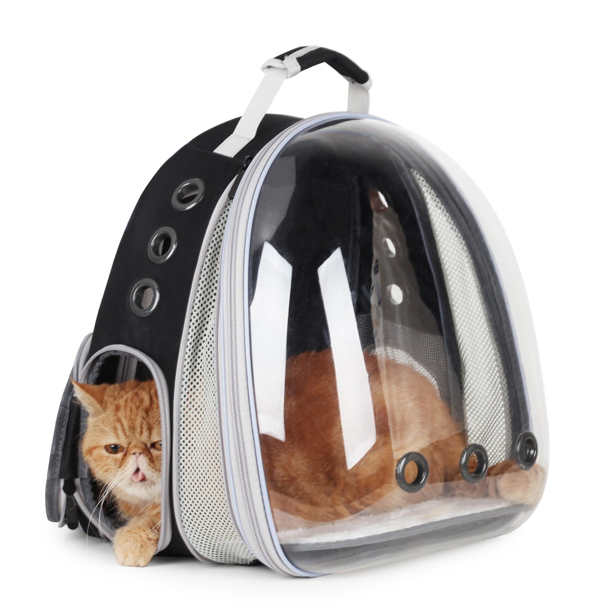 Lollimeow Expandable Bubble Cat Carrier Backpack, Supports up to 16 lbs