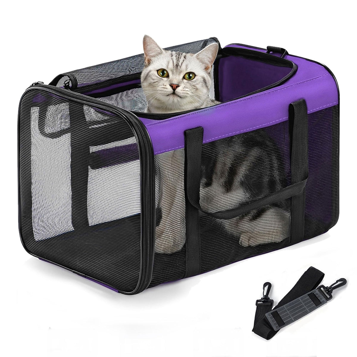 Conlun Dog Carrier Bag,Soft-Sided Pet Carriers for Dogs-L,Black