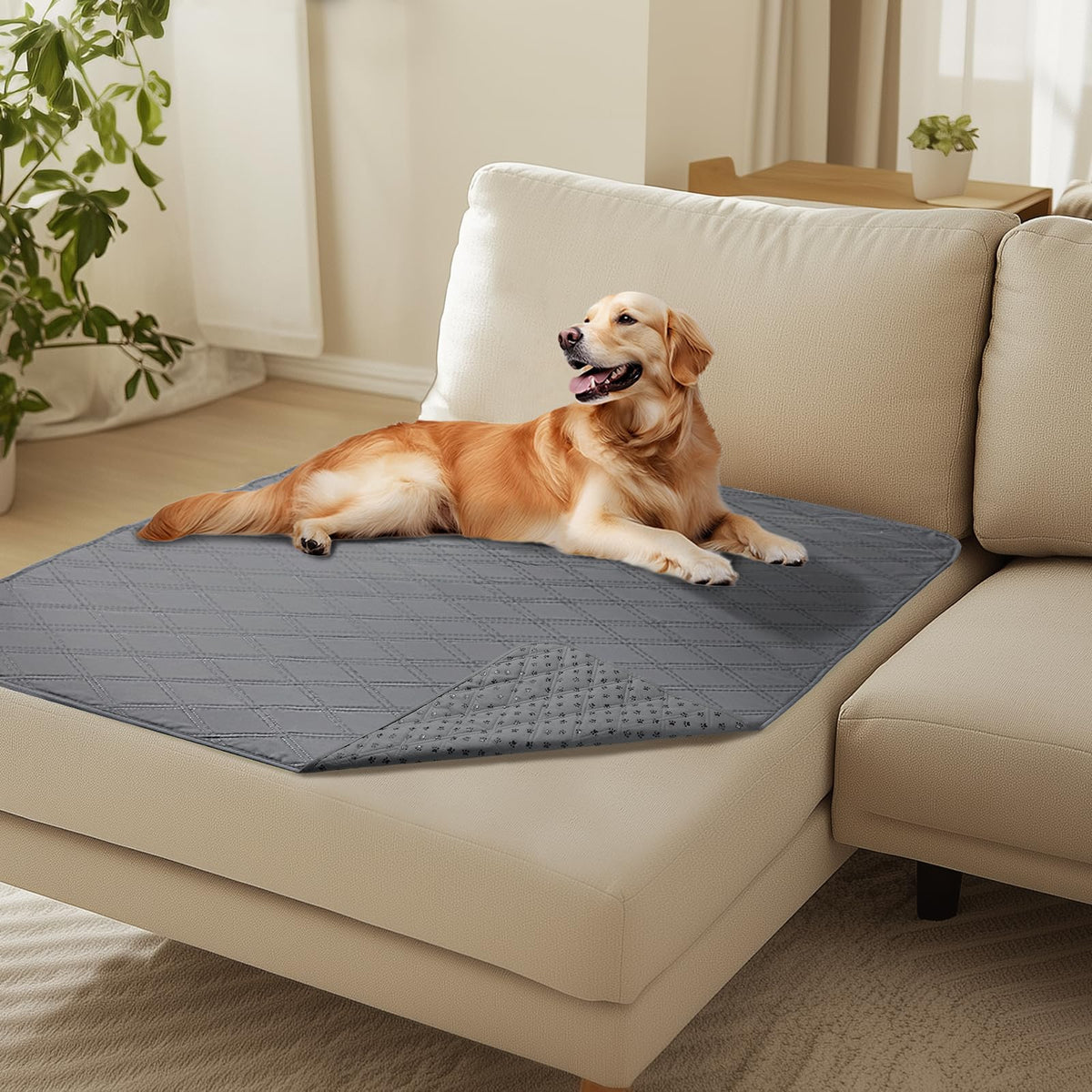 Luciphia Waterproof Couch Cover for Dogs, Non-Slip Pet Sofa Protector