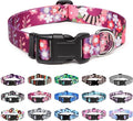 Mercano Adjustable Dog Collar - Special Design Patterns, Soft Nylon Comfortable Sturdy Pet Collar for Small Medium Large Dogs (M — Medium