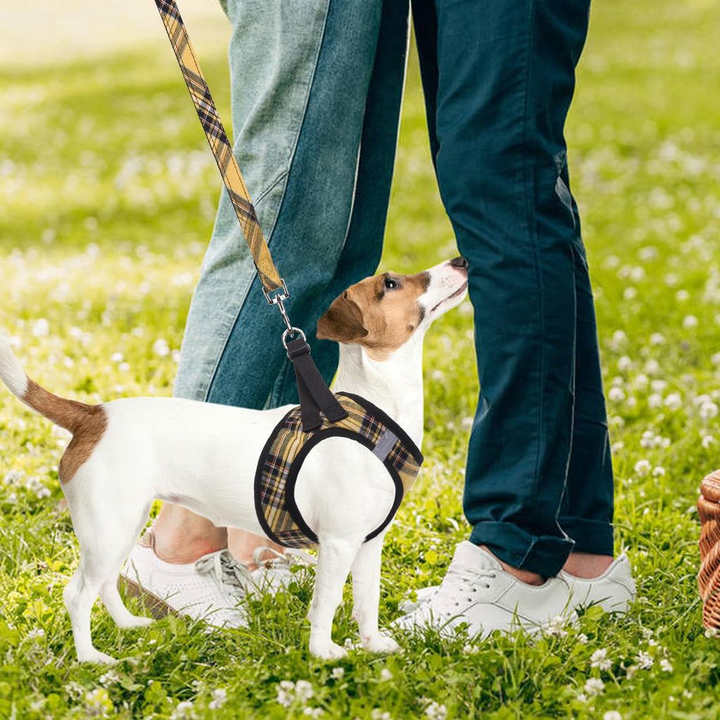 PUPTECK Dog Harness, Collar and Leash Set No Pull for Small Medium Sized
