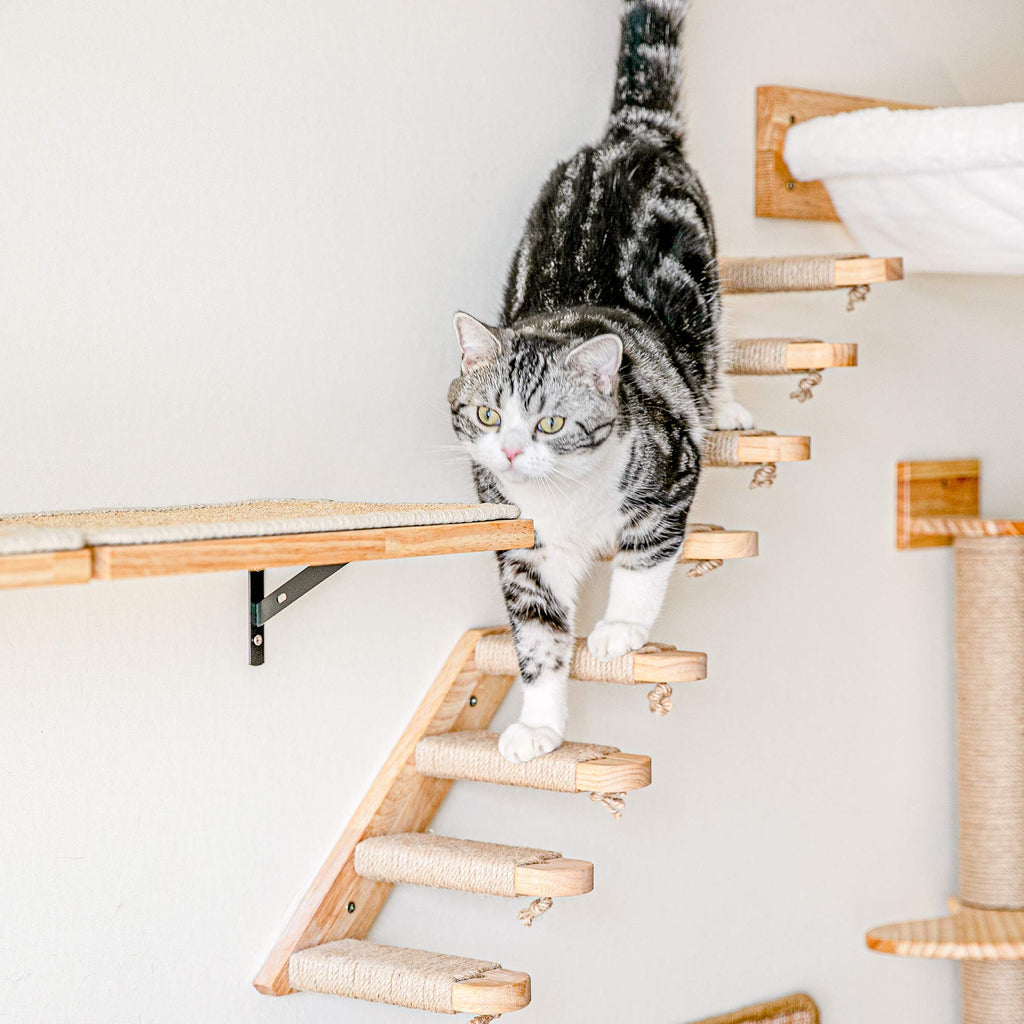 FUKUMARU Cat Climbing Shelf Wall Mounted, Small