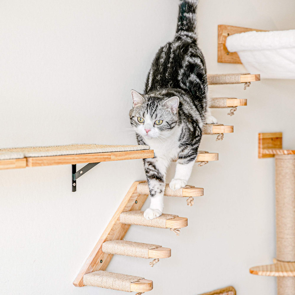 FUKUMARU Cat Climbing Shelf Wall Mounted, Small