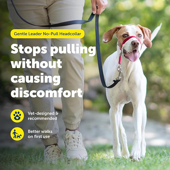 PetSafe Gentle Leader No-Pull Dog Headcollar - The Ultimate Solution to Pulling - Redirects Your Dog's Pulling for Easier Walks - Helps You Regain Control - Medium, Raspberry Pink