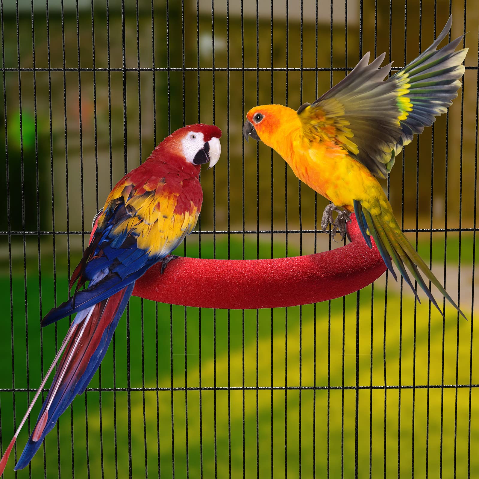 FrgKbTm U Shape Parrot Perch Stand Toy Bird Platform Sand Paw Grinding Clean Stick Exercise Conure Budgie Cockatiel Cage Accessories (Red)
