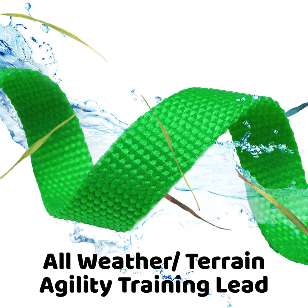 Long Dog Puppy Obedience Recall Training Agility Lead, Leash - GREEN, 15' Foot - by, Downtown Pet Supply