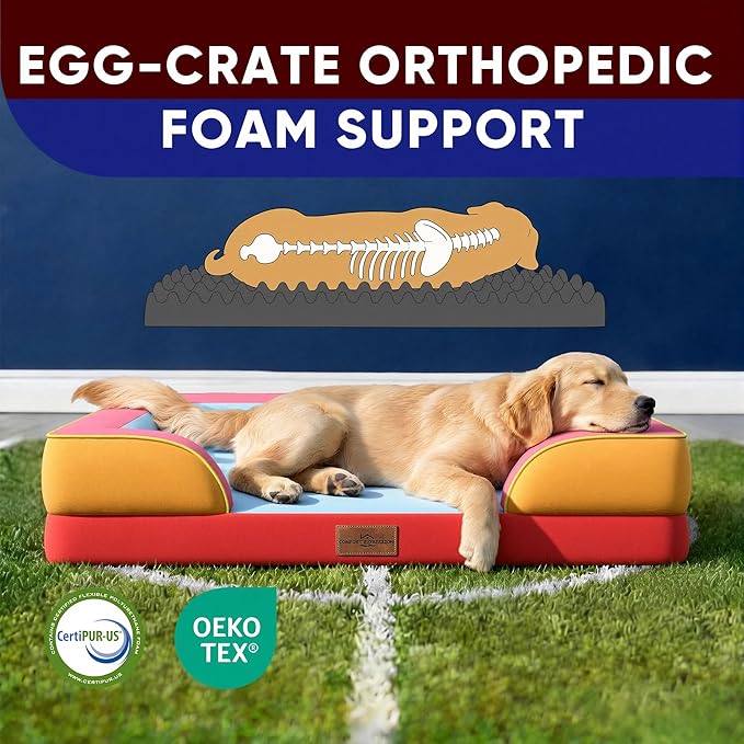 Comfort Expression Orthopedic Dog Bed for Large Dogs 36x27 Inch, Waterproof Egg Crate Foam Large Pet Bed with Removable Bolsters, Dog Couch with Washable Cover & Non-Slip Bottom, Miami