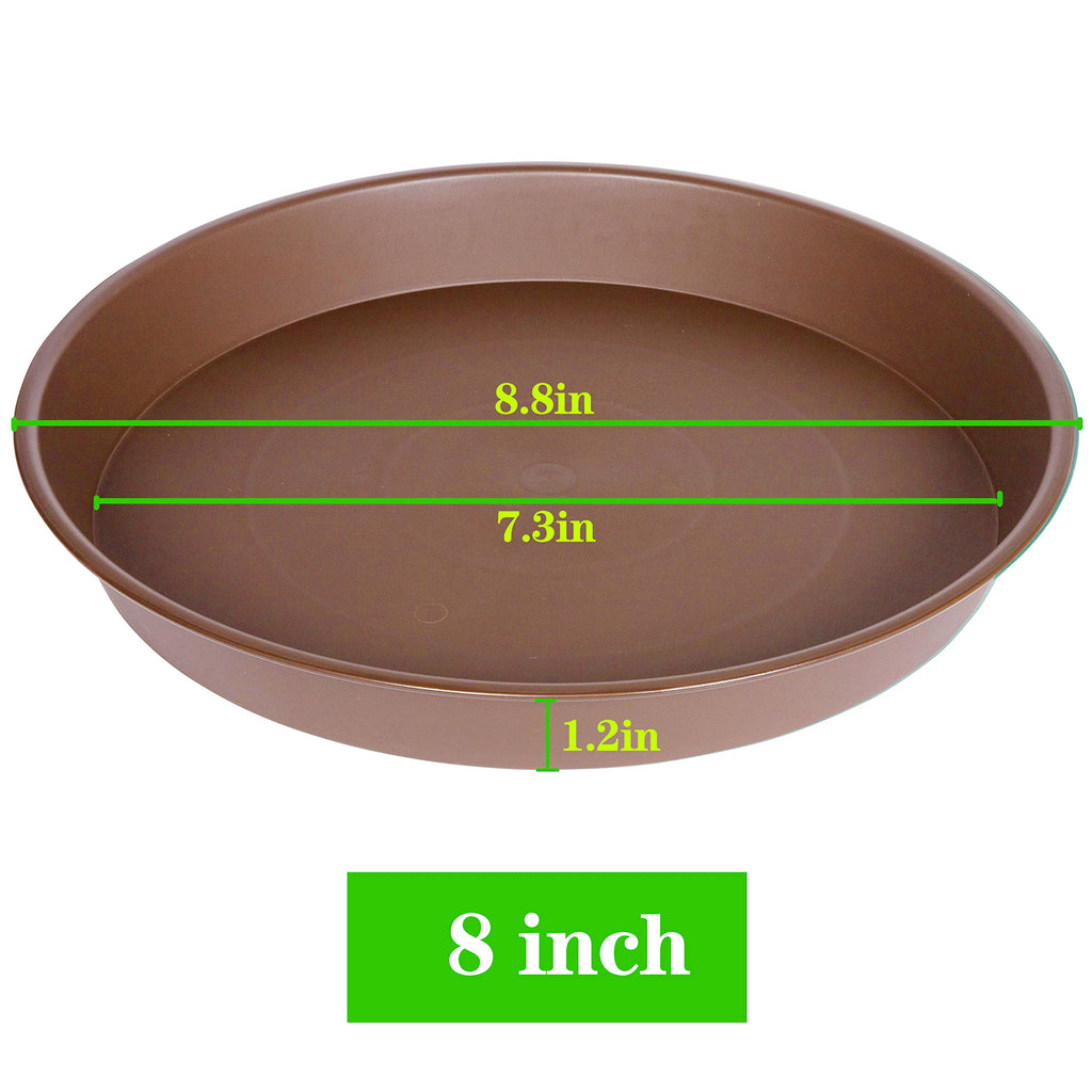 Bleuhome 6 Pack of 8 inch Plant Saucer, Heavy Duty Plastic Plant Water Tray 8 inch Round, Pebble Tray, Flower Plant Saucers for Indoors No Holes, Plant Dishes Saucer for Planter 7"/8" (8", Chocolate)