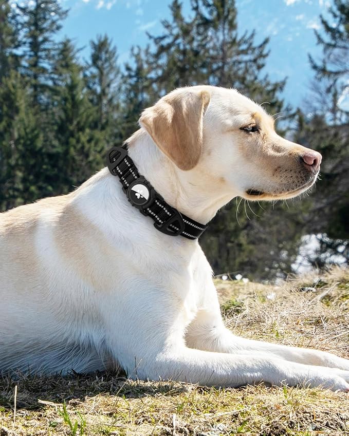 Joytale Airtag Dog Collar, Reflective Pet Collar with Waterproof AirTag Holder, Dual D-Rings, Soft Padded Adjustable for Extra Small and Puppy Dogs, Black, XS