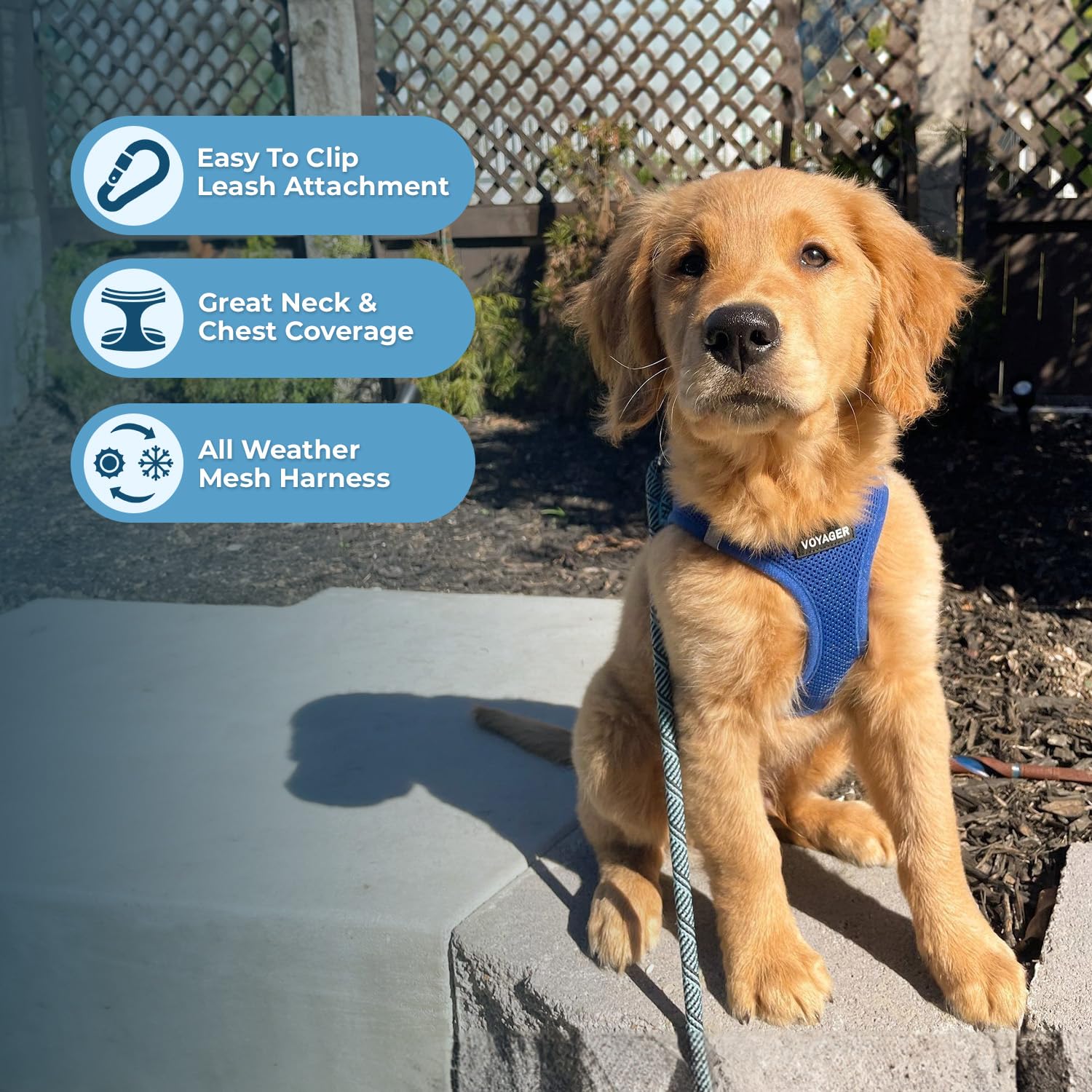 Best Pet Supplies Voyager Step-in Air All Weather Mesh Harness and Reflective Dog 5ft Leash Combo with Neoprene Handle, for Small, Medium and Large Breed Puppies - Royal Blue, Medium