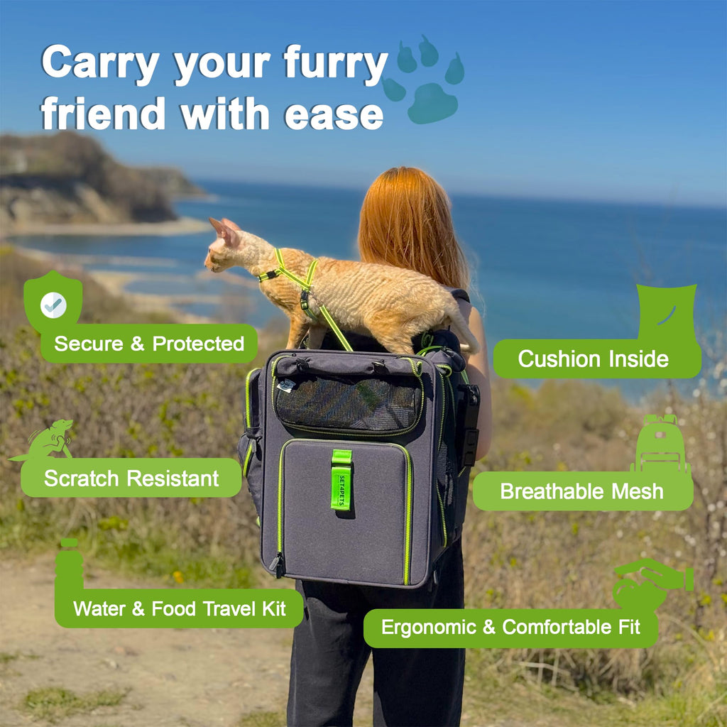 Set4Pets Expandable Cat Carrier Backpack for Cats & Small Dogs, Gray/Green