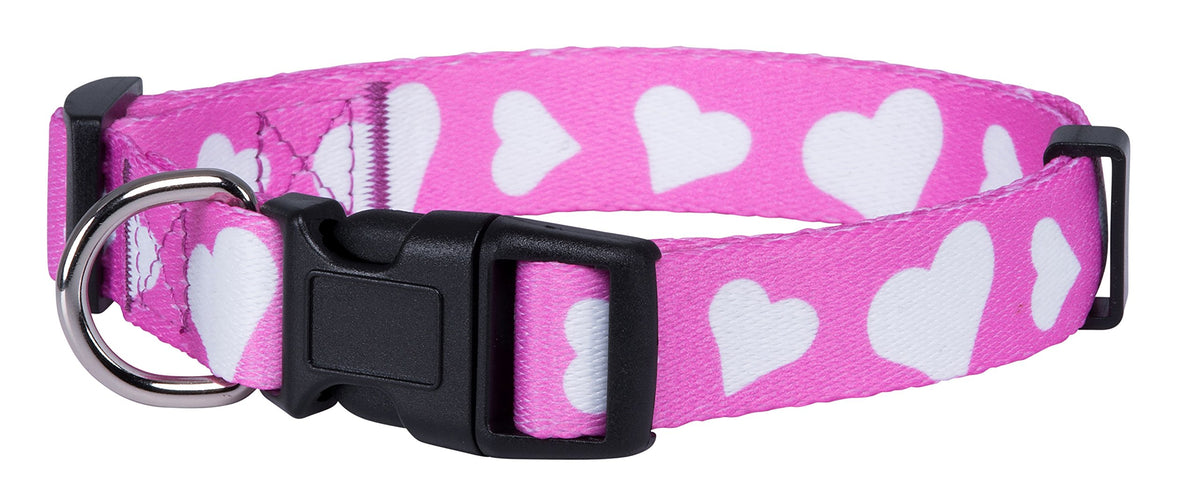 Native Pup Halloween Dog Collar (Large, Bats)