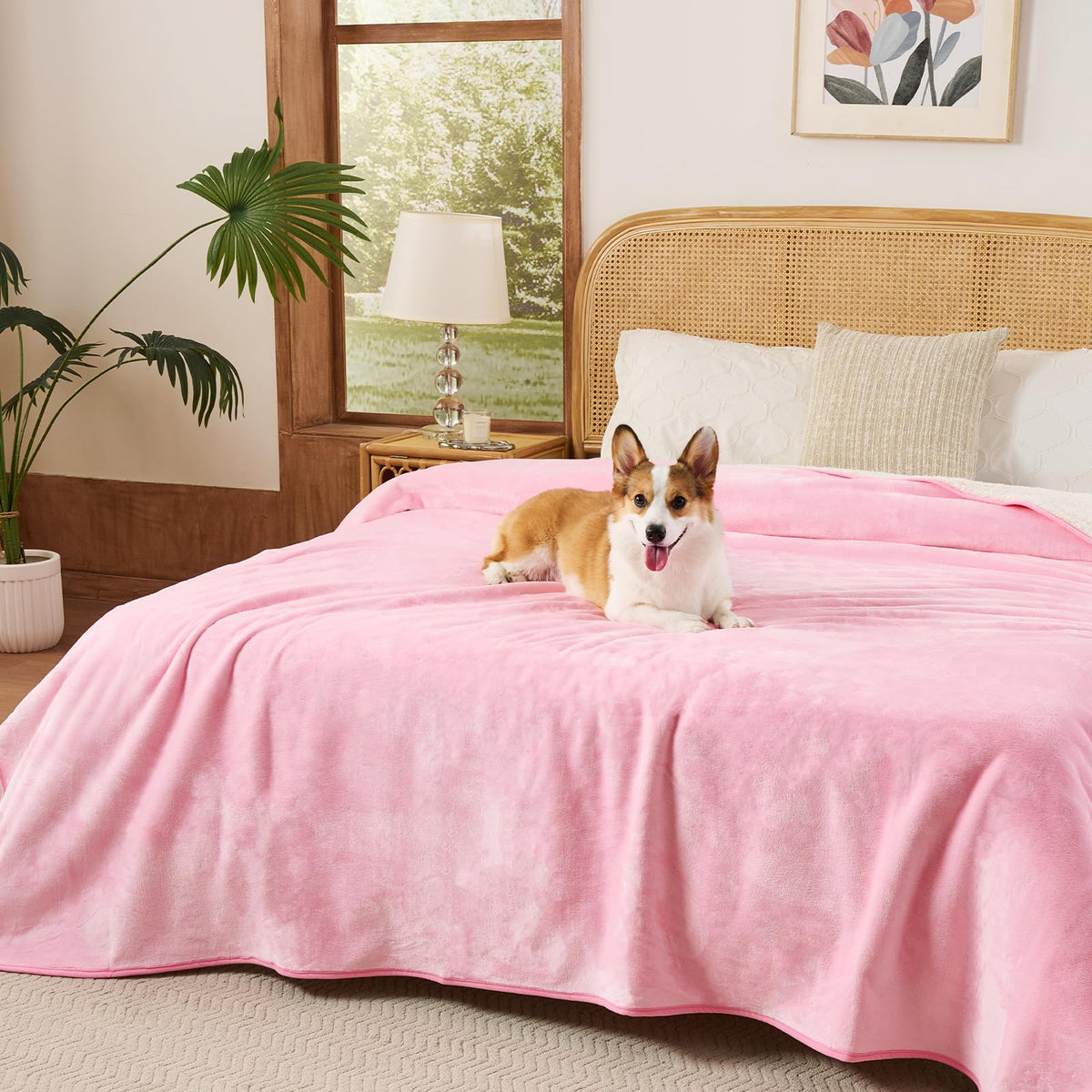 Sunheir Waterproof Blanket for Bed, Reversible Soft Flannel Twin Bed Blanket 60" x 80", Leakproof Throw Spill-Proof Dog Pet Blanket for Couch Cover, Furniture, Camping, Travel, Grey