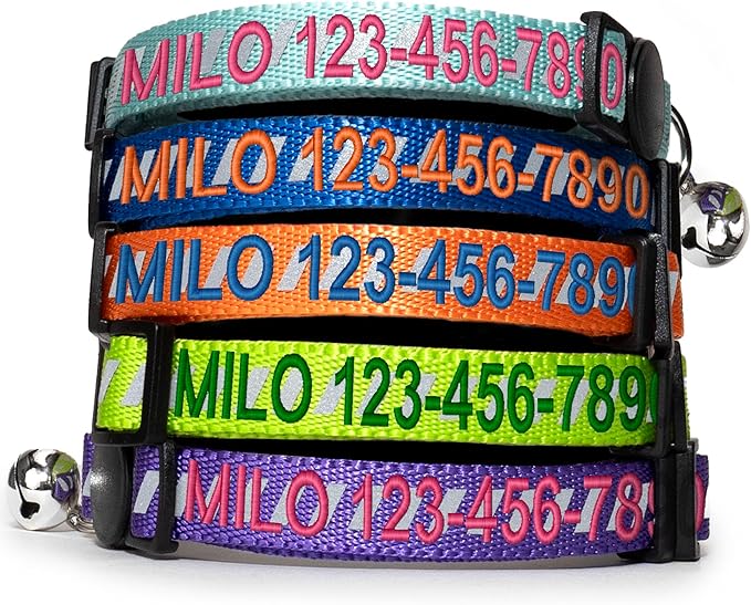 Pawtitas Personalized Cat Collar with Breakaway Safety Release Buckle Adjustable Length | Cat Collar with Custom Embroidered for Your Pet's Name and Phone Number | Grey Cat Collar with Removable Bell
