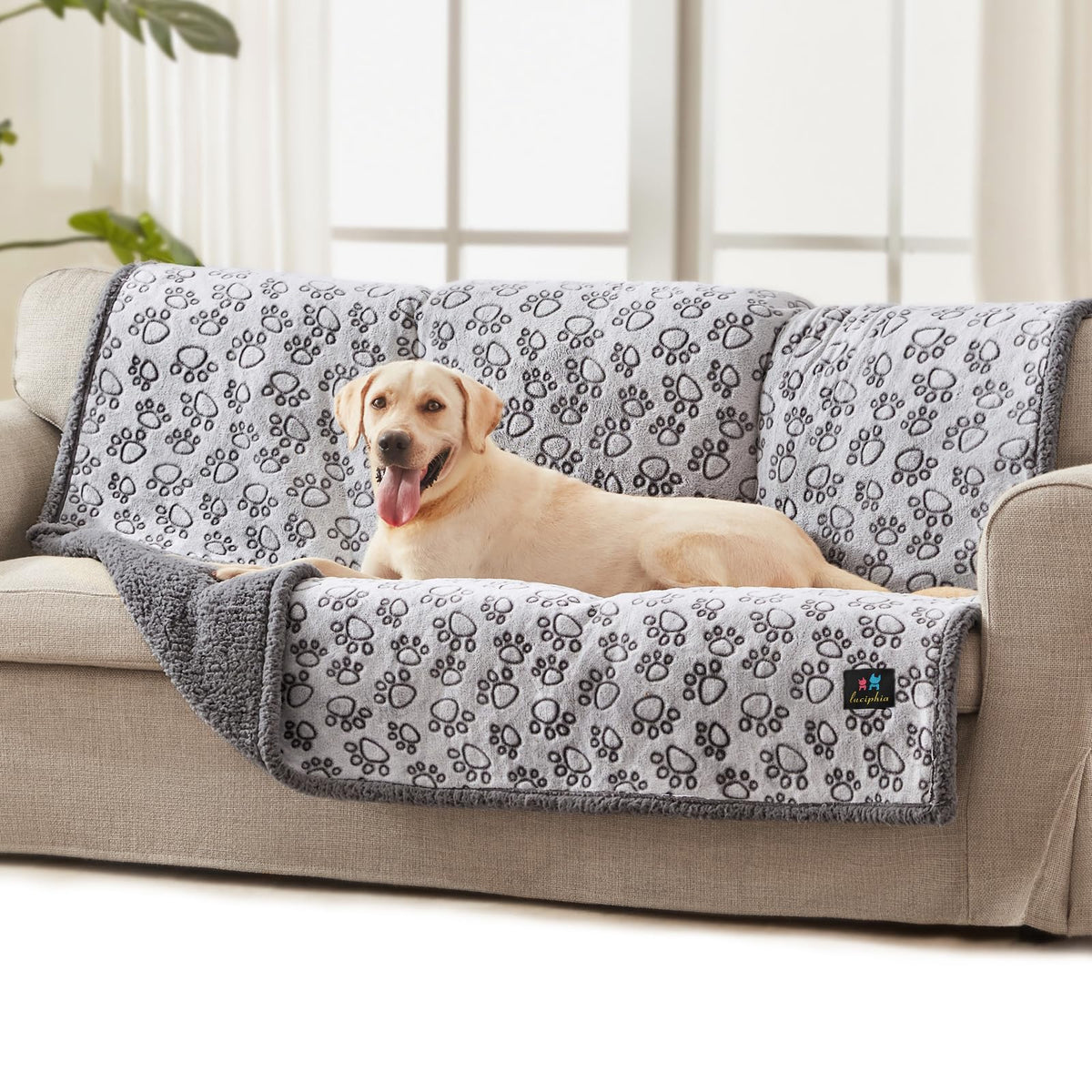 Luciphia Waterproof Dog Blanket Reversible Sherpa Fleece for Large Dogs Cat