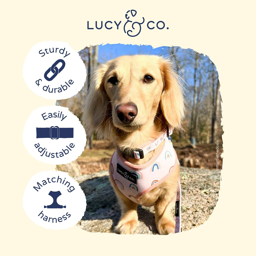Lucy & Co. in The Clouds Dog Collar - Durable Lightweight Designer Collar for Pets - Adjustable Metal Safety Buckle - Pink Rainbows - Medium