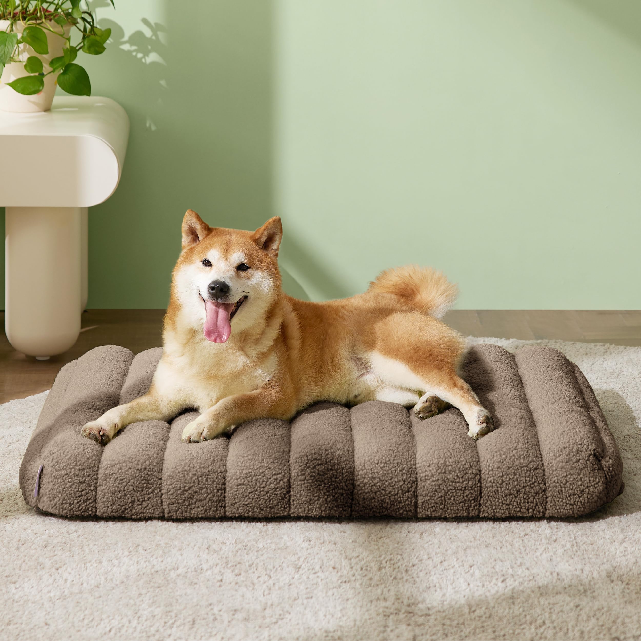 LE SURE Cute Orthopedic Dog Bed Medium Size Dog, Waterproof Chic Flat Pet Beds with Removable Washable Cover, Fuzzy Thick Egg Crate Foam Pet Mat for Indoor Use (30" x 20", Brown)
