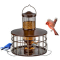 Upgraded Squirrel Proof Bird Feeders, 3Lbs Capacity Caged Bird Feeder, Innovative DIY Starling-Proof, Flexible Adjustment of Grille Size, Caged Seed Tube Feeders Outside Hanging(Copper)