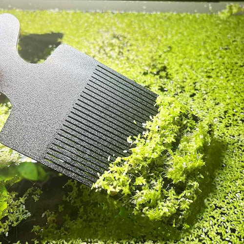 3DAquaticSolutions Aquarium Duckweed Removal Tool, 6.5 x 3 inch Floating Plant Comb Spatula, Aquatic Tank Cleaning Tool (Black)