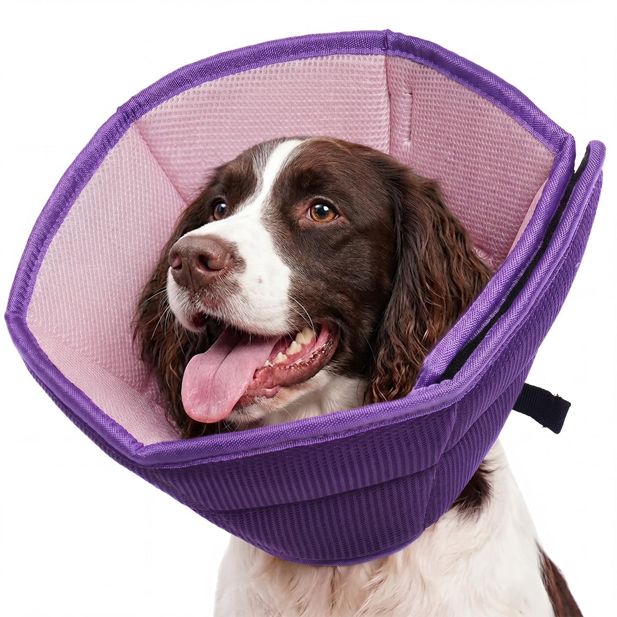 Allroaring Soft Dog Recovery Cone Adjustable Stop Licking Wounds Purple M