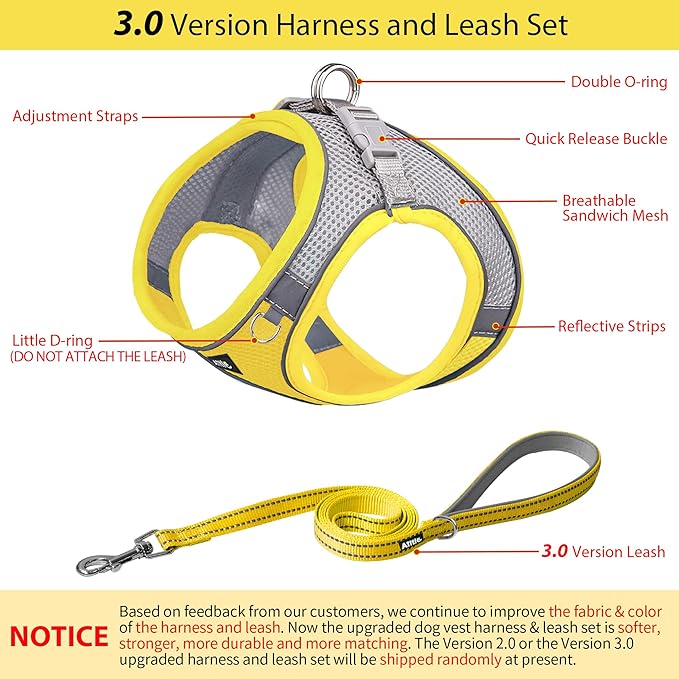 AIITLE No Pull Dog Harness and Leash Set, Step in Adjustable Dog Harness with Padded Vest for All Weather, Dog Leash with Soft Padded Handle, Easy to Put on Small and Medium Dogs Yellow S