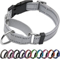 JOYEEIIOO Martingale Dog Collar, Adjustable Nylon Reflective Collar with Quick Release Buckle, No Pull Dog Training Collars for Small Medium Large Dogs (Grey S)