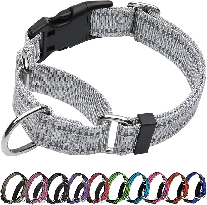 JOYEEIIOO Martingale Dog Collar, Adjustable Nylon Reflective Collar with Quick Release Buckle, No Pull Dog Training Collars for Small Medium Large Dogs (Grey S)