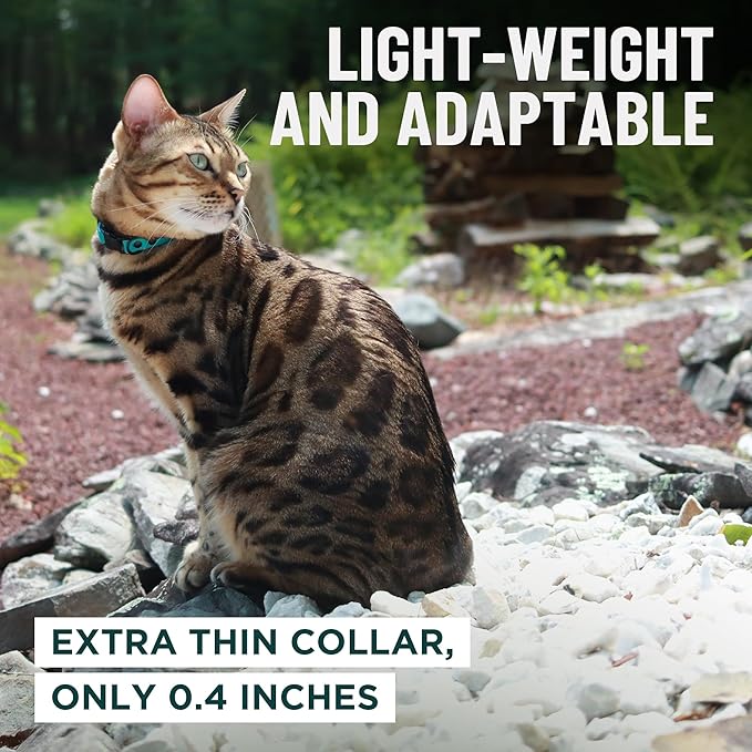 OutdoorBengal Blue Breakaway Kitten Collar - Ultra Safe Quick Release Cat Collar for Small Kittens Under 6 Months – Soft-Padded, Lightweight, Adjustable, Thin and Comfortable, No Bell (Blue, Kitten)