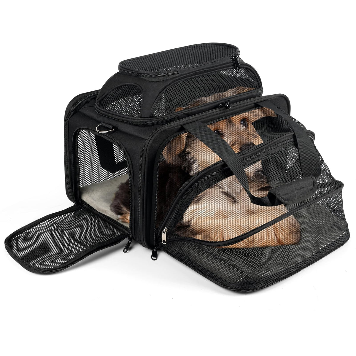 pidipiti 17x11x9.5 Soft-Sided pet Carrier,for Extra-Small Dog or Medium cat