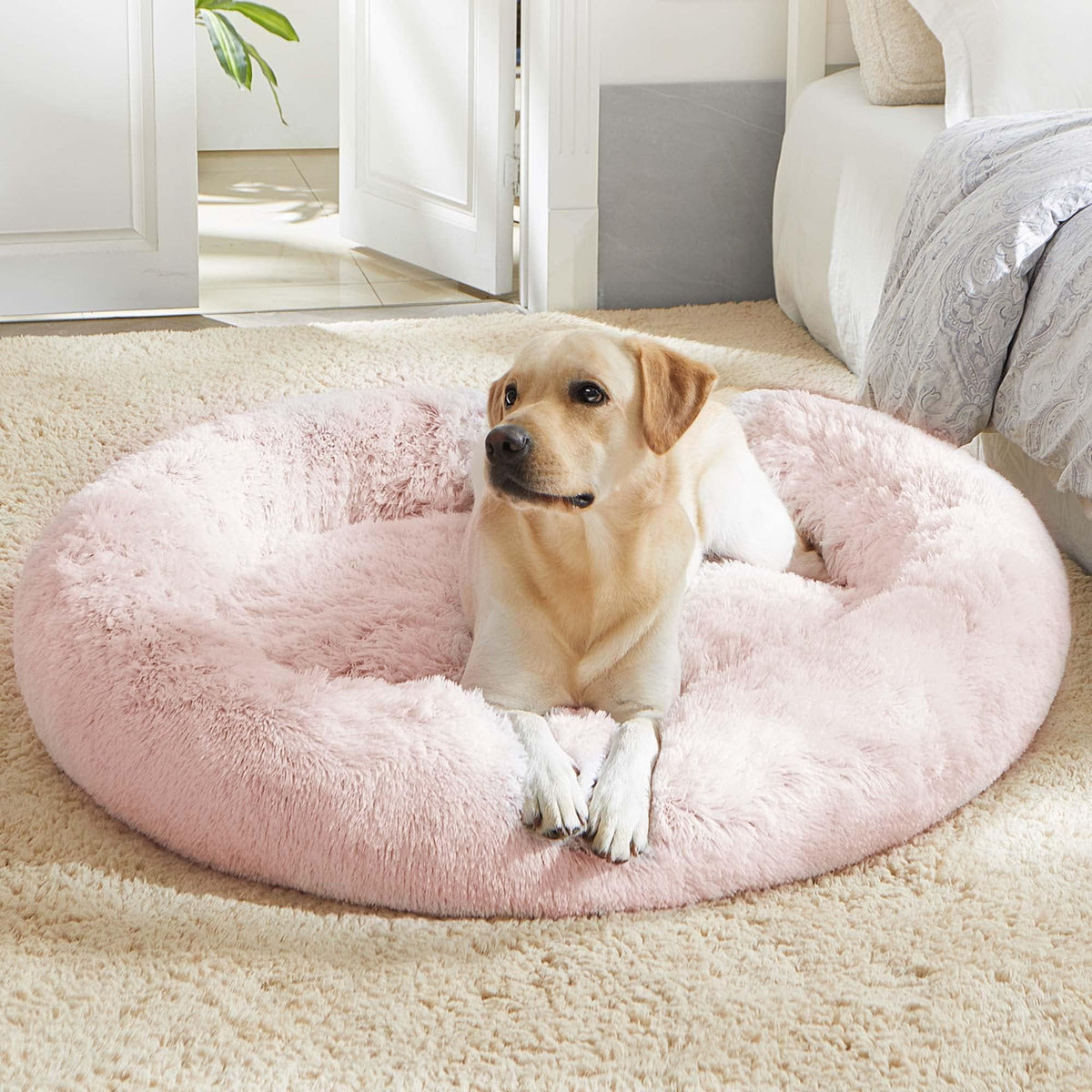 Western Home Calming Donut Small Dog Cat Bed Washable Puppy Bed,24" Rainbow