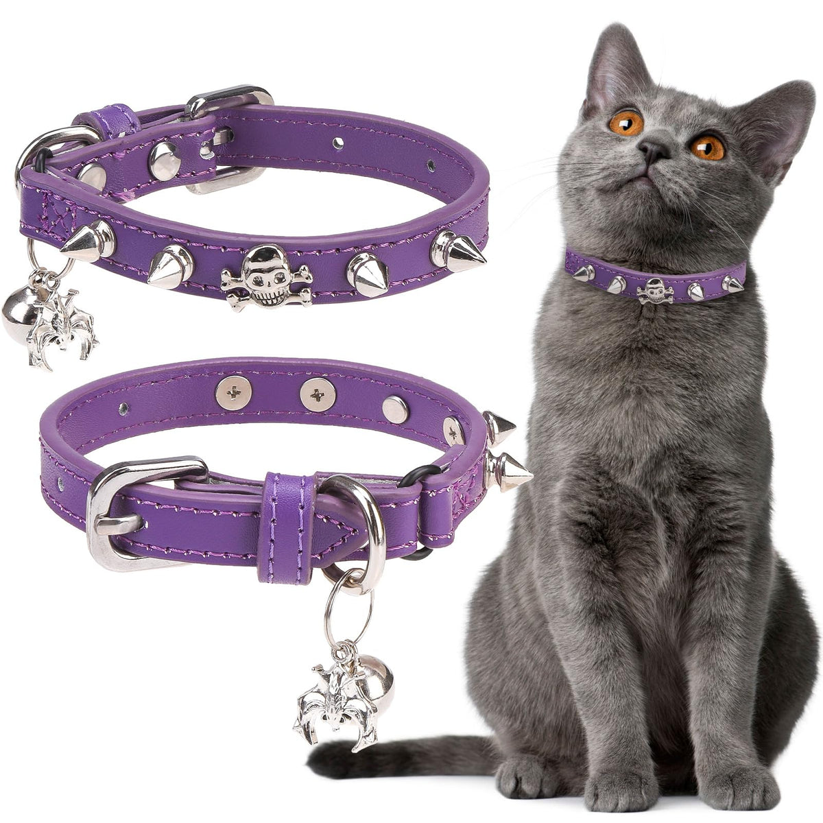 EXPAWLORER Leather Cat Collar for Girl Boy Cats,Black(Rivet & Skull)