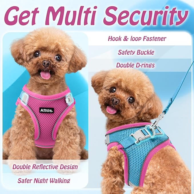 AIITLE Step in Dog Harness and Leash Set - No Pull Escape Proof Vest Harnesses with Soft Mesh and Reflective Bands, Adjustable Pet Outdoor Harnesses for Small and Medium Dogs Hot Pink M