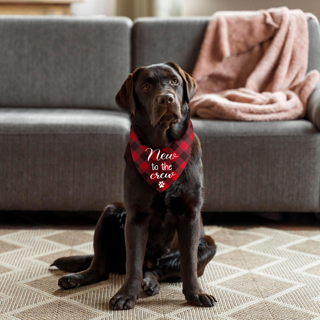 New Puppy Announcement Dog Bandana, Adopted Puppies Reveal Gift for Owner, Dogs Birthday Supplies Gifts, Triangle Bibs Scarf for Medium Pets (Red)