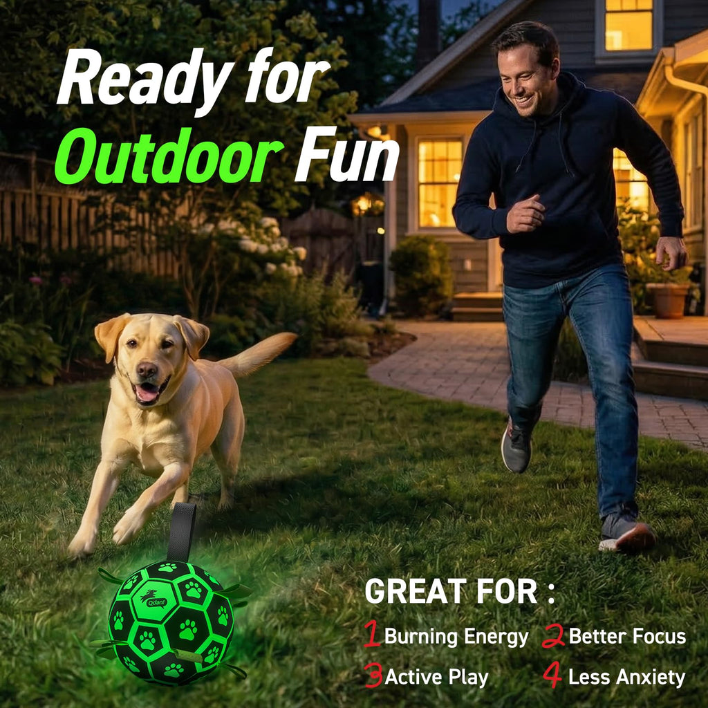 QDAN Glow in The Dark Dog Toys Soccer Ball with Straps, Outdoor Interactive Dog Toys Puppy Birthday Gifts, Dog Tug Water Toy, Light Up Dog Balls for Small & Medium Dogs（6 Inch Size 2）