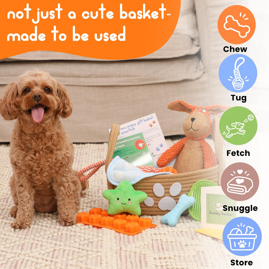Huxley Barker New Puppy Gift Basket for Puppies, Adopted Dogs & Small Family Dogs - Chew Toys, Squeaky Toys, Toy Box, Treat Mold, Pet Blanket - Dog Gift Basket Essentials