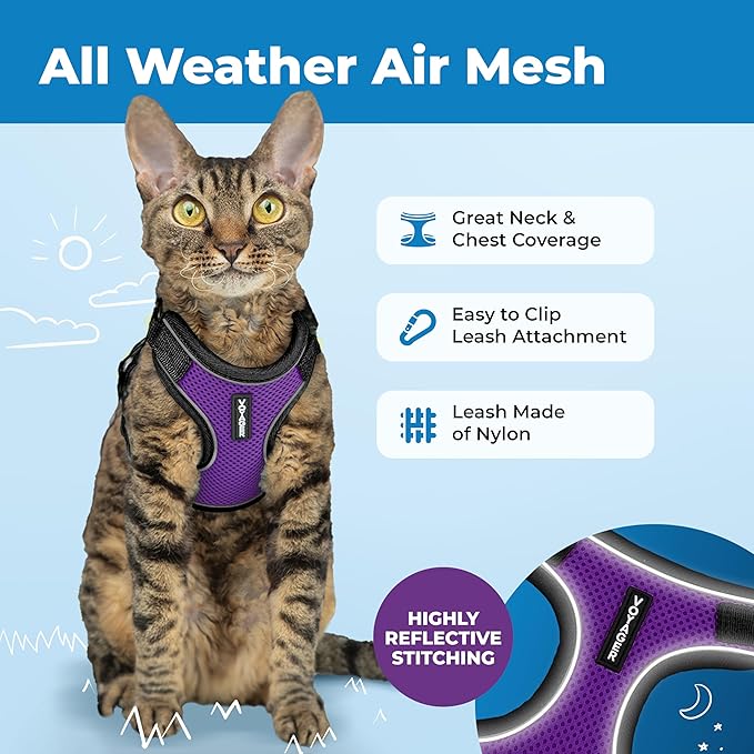 Voyager Escape-Proof Step-in Lock Cat Harness & 5ft Neoprene-Handle Leash Set All-Weather Mesh with Reflective Stitching for Small to Large Cats by Best Pet Supplies, Black Trim-Purple (327), XXS
