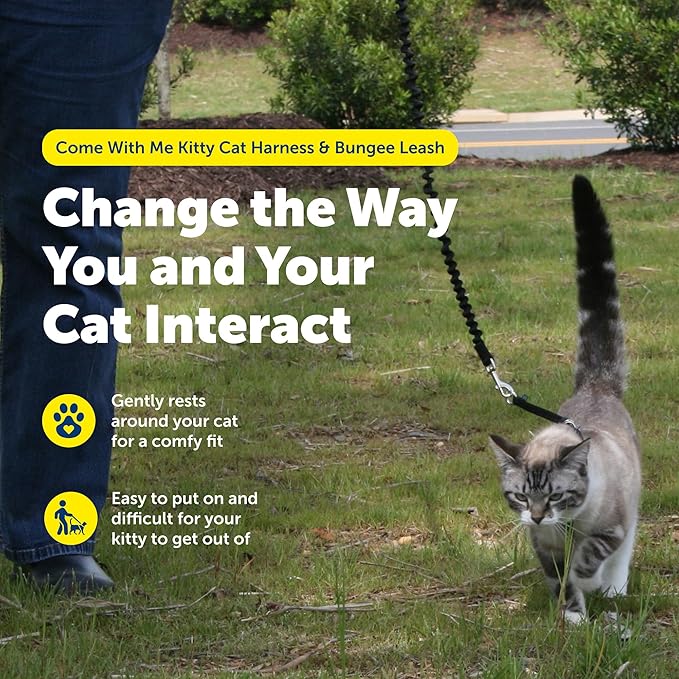 PetSafe Come with Me Kitty Cat Harness & Bungee Leash - Comfortable Cat Harness with Lightweight Bungee Leash for Outdoor Fun - More Secure Walks - Large - Royal Blue
