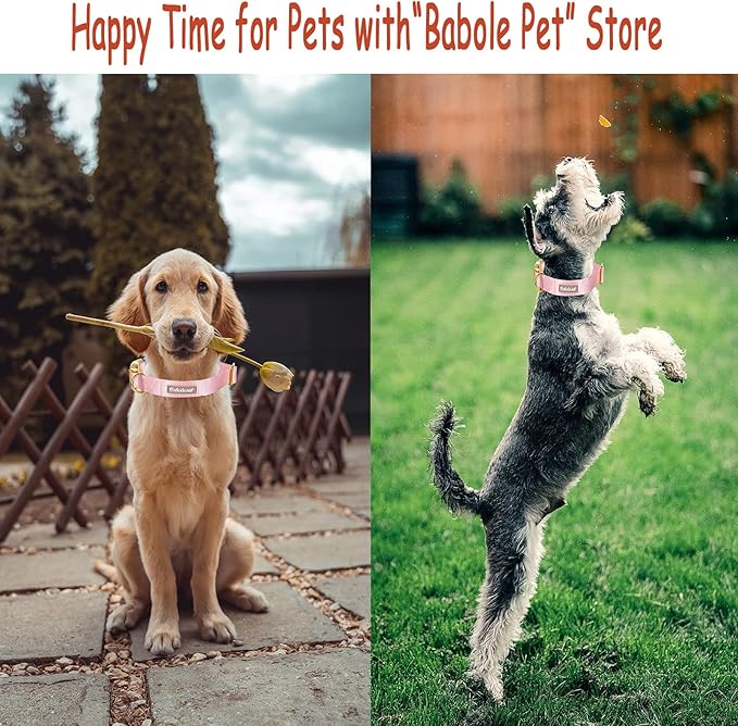 Babole Pet Nylon Dog Collar - Adjustable Pink Soft Webbing Dog Collars for Small Medium Large Dogs Boy Girl Puppy Collar with Safety Metal Buckle M
