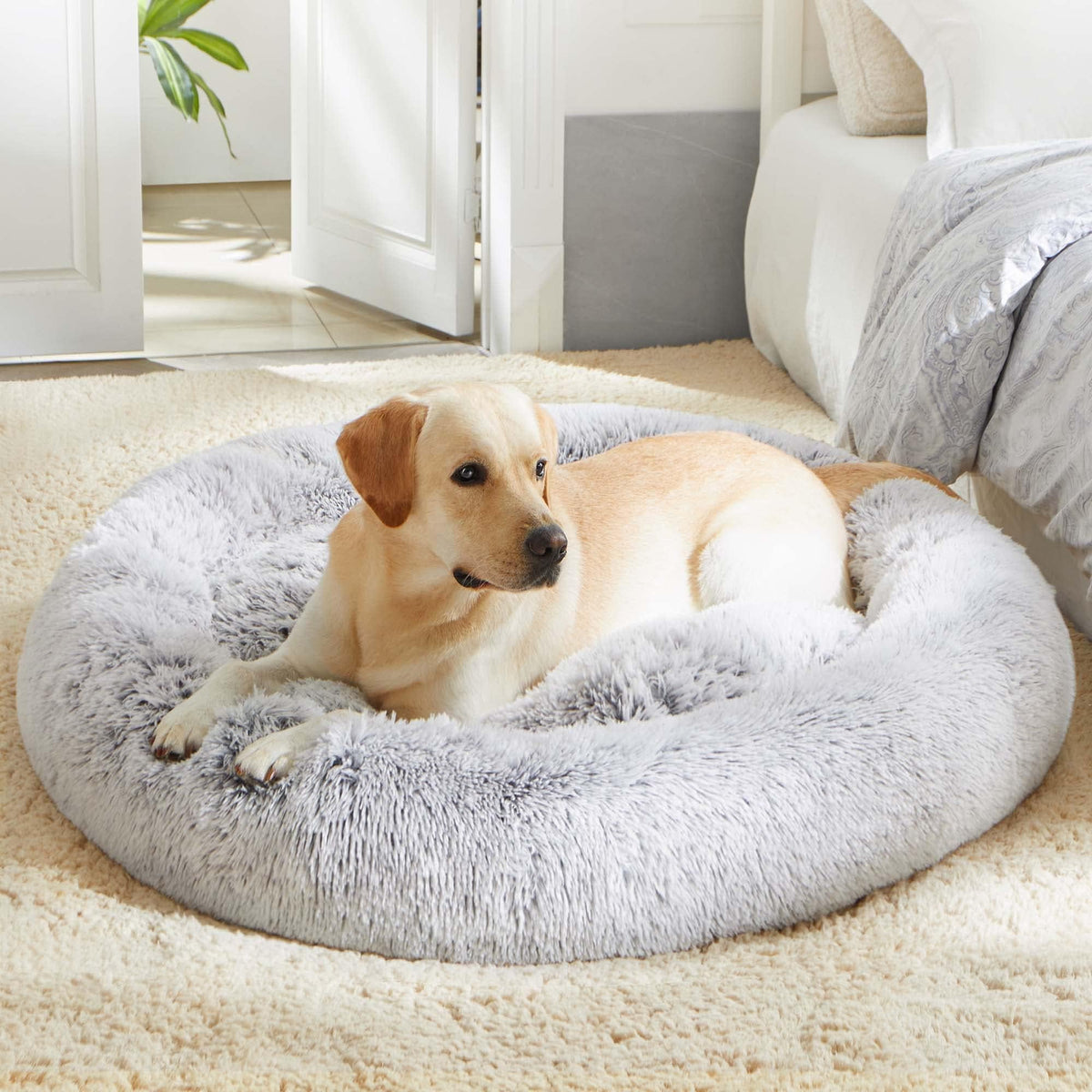 Western Home Calming Donut Small Dog Cat Bed Washable Puppy Bed,24" Rainbow