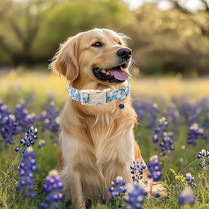 Babole Pet Blueberry Pattern Dog Collar, Cute Light Blue Spring Summer Puppy Collar - Soft Adjustable Designer Dog Collars for Small Medium Large Dogs XL