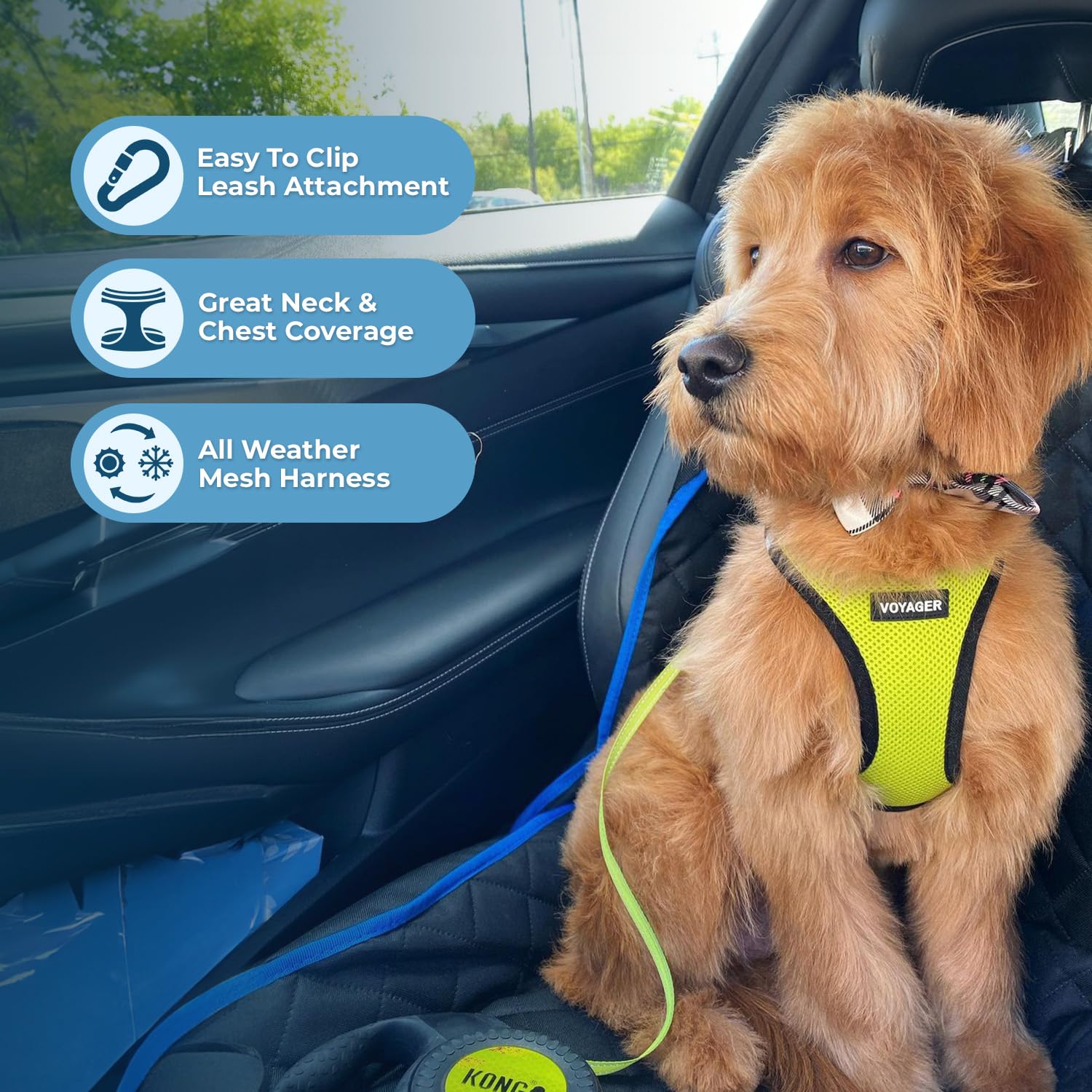 Best Pet Supplies Voyager Step-in Air All Weather Mesh Harness and Reflective Dog 5ft Leash Combo with Neoprene Handle, for Small, Medium and Large Breed Puppies - Lime/Black Trim, XX-Small