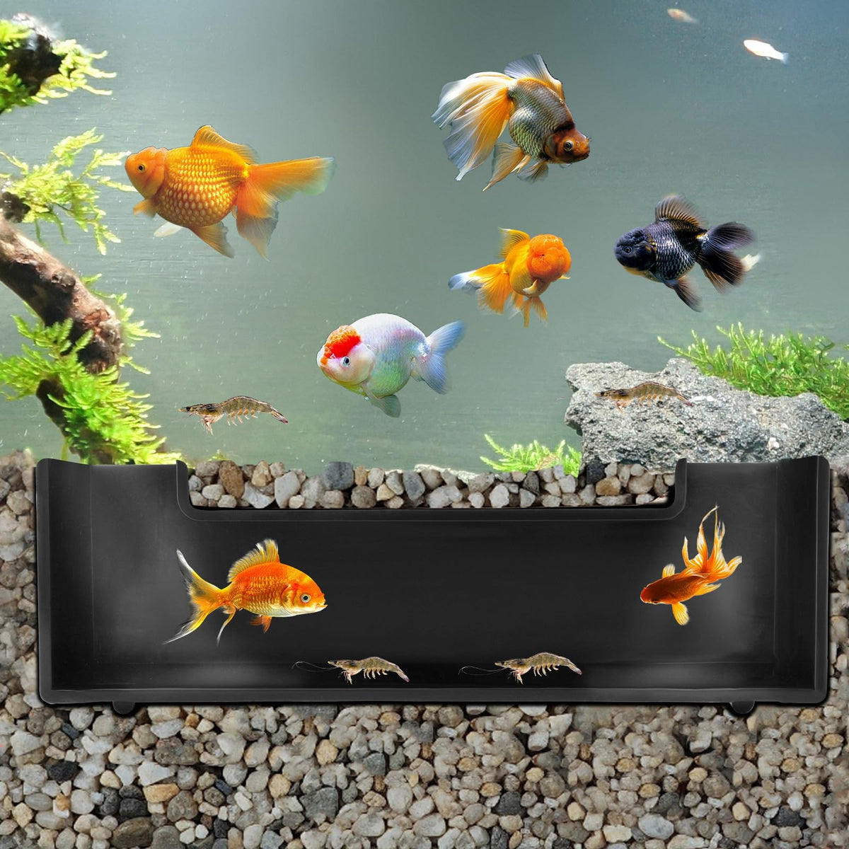 Shrimp Cave for Aquarium Tanks – Durable Fish Tank Decor, Natural Hideout for Ghost Shrimp, Fry, and Nano Fish (Easy to Clean)